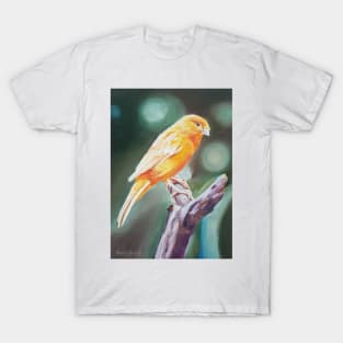 Canary Intermission - painting T-Shirt